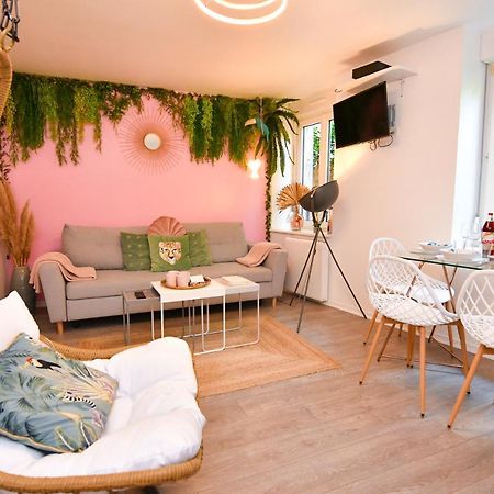 Le Nid Cosy - En Plein Coeur De Selestat Apartman Kültér fotó
